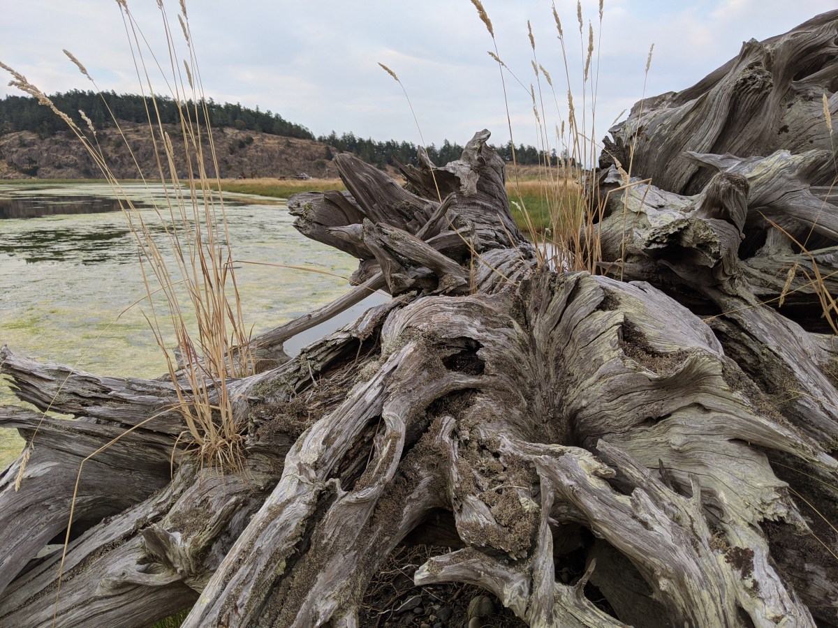 Lopez, “Slowpez”